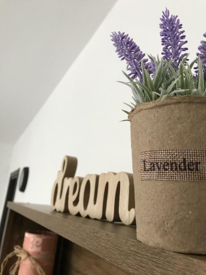 Grocka Apartmani & Rooms Kültér fotó